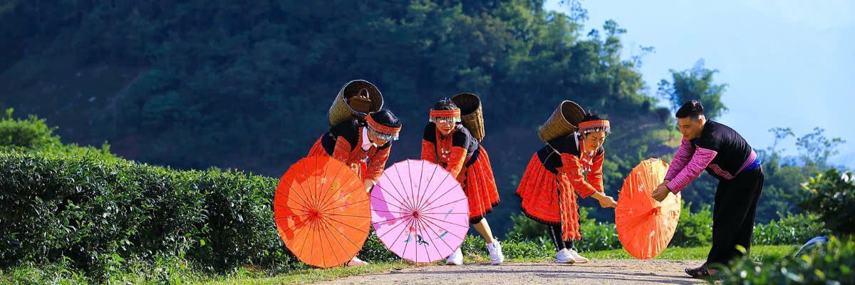 TrauGacBep.vn